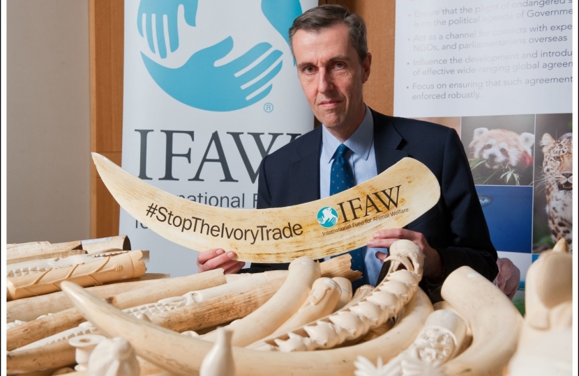 Andrew Selous MP supports campaign for UK ivory ban to protect elephants